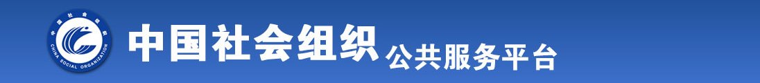 操B网址全国社会组织信息查询